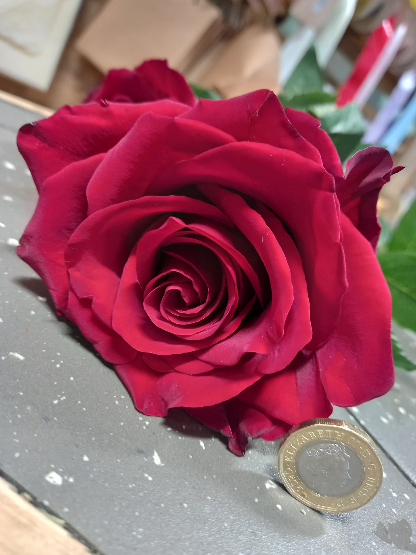 Super Luxurious Dozen Red Rose Bouquet